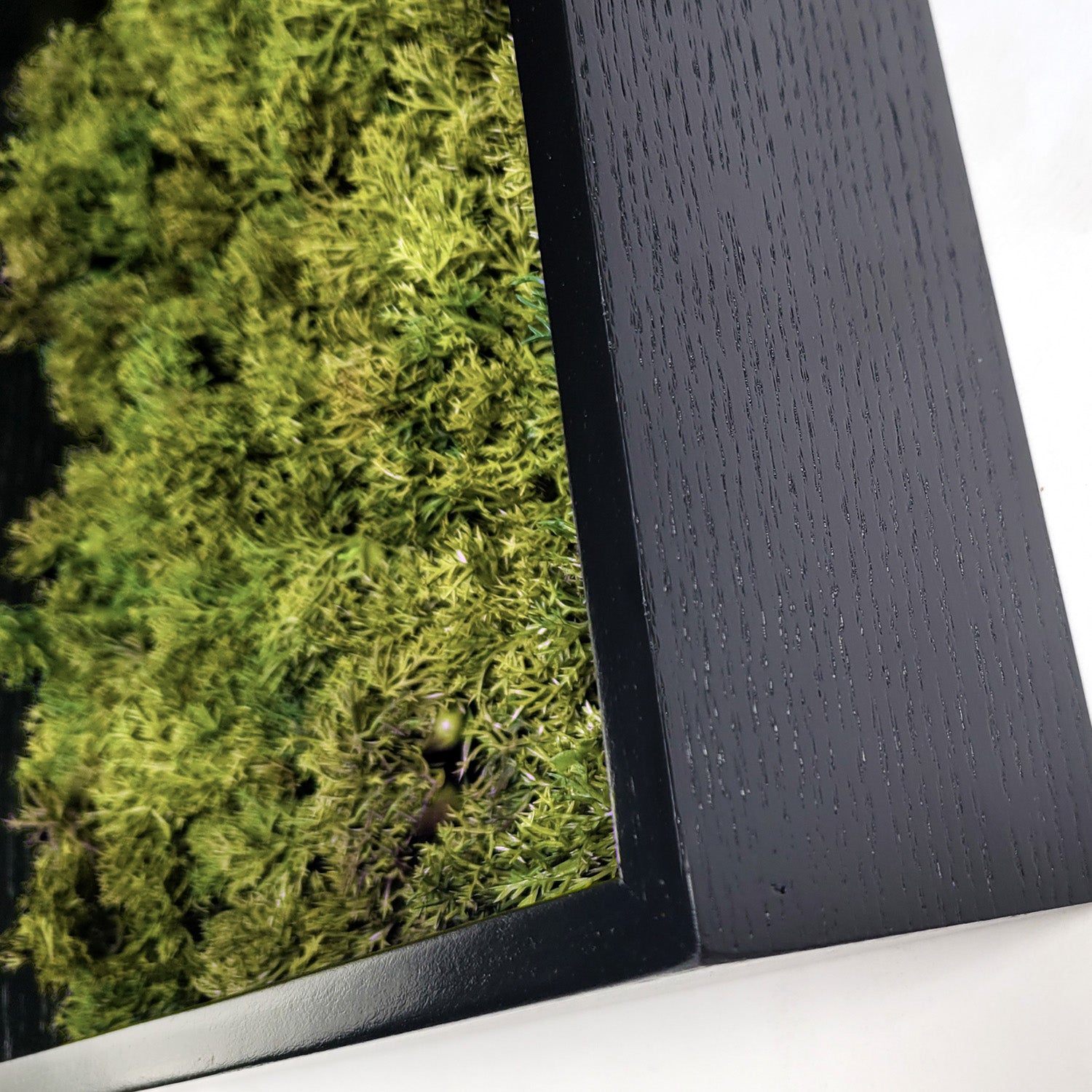 Green Wall, Mini Textured Moss 1