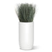 Botanical design with cortada grass in a white fiberglass barrel.