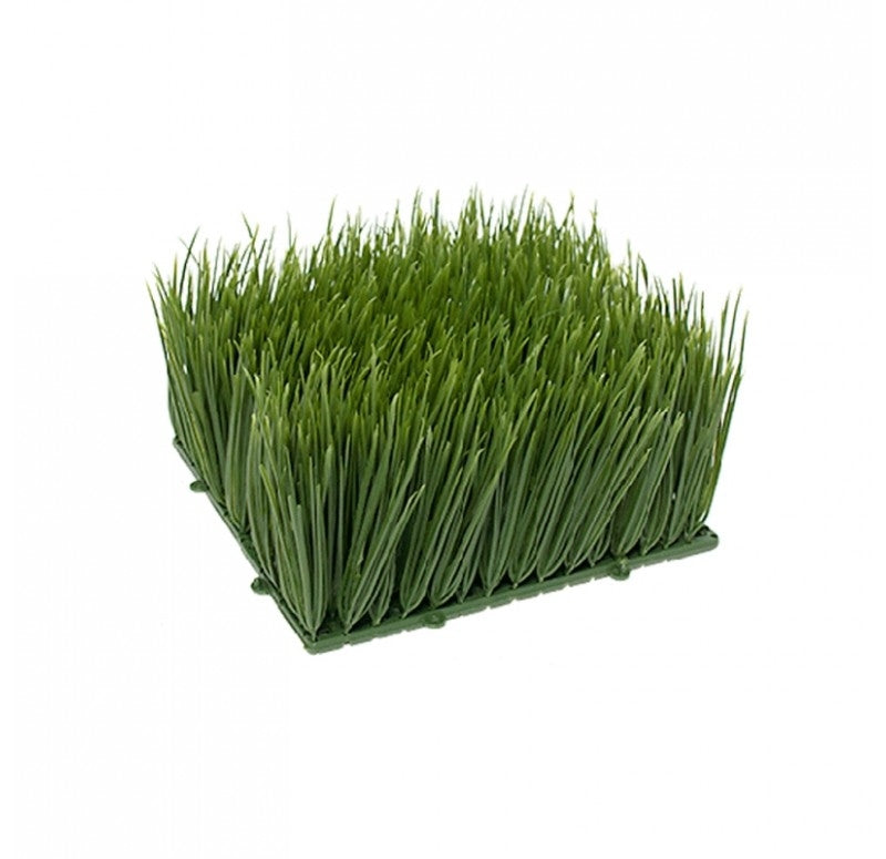 Wheatgrass Mat, 4"H x 6"SQ