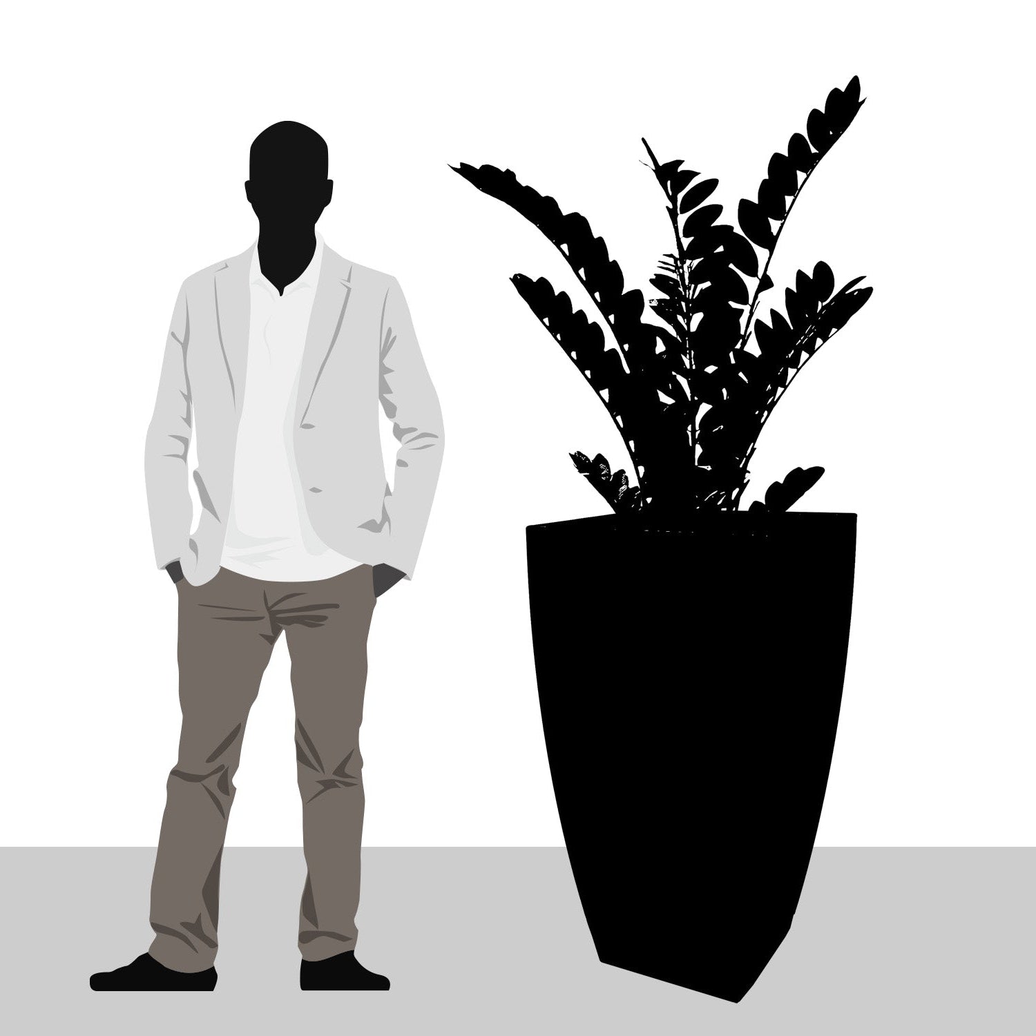 ZZ Plant in Cascade Planter, Black Satin