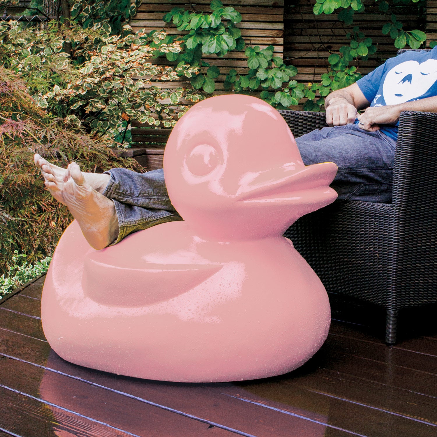 Duck Sculpture, Pink Light