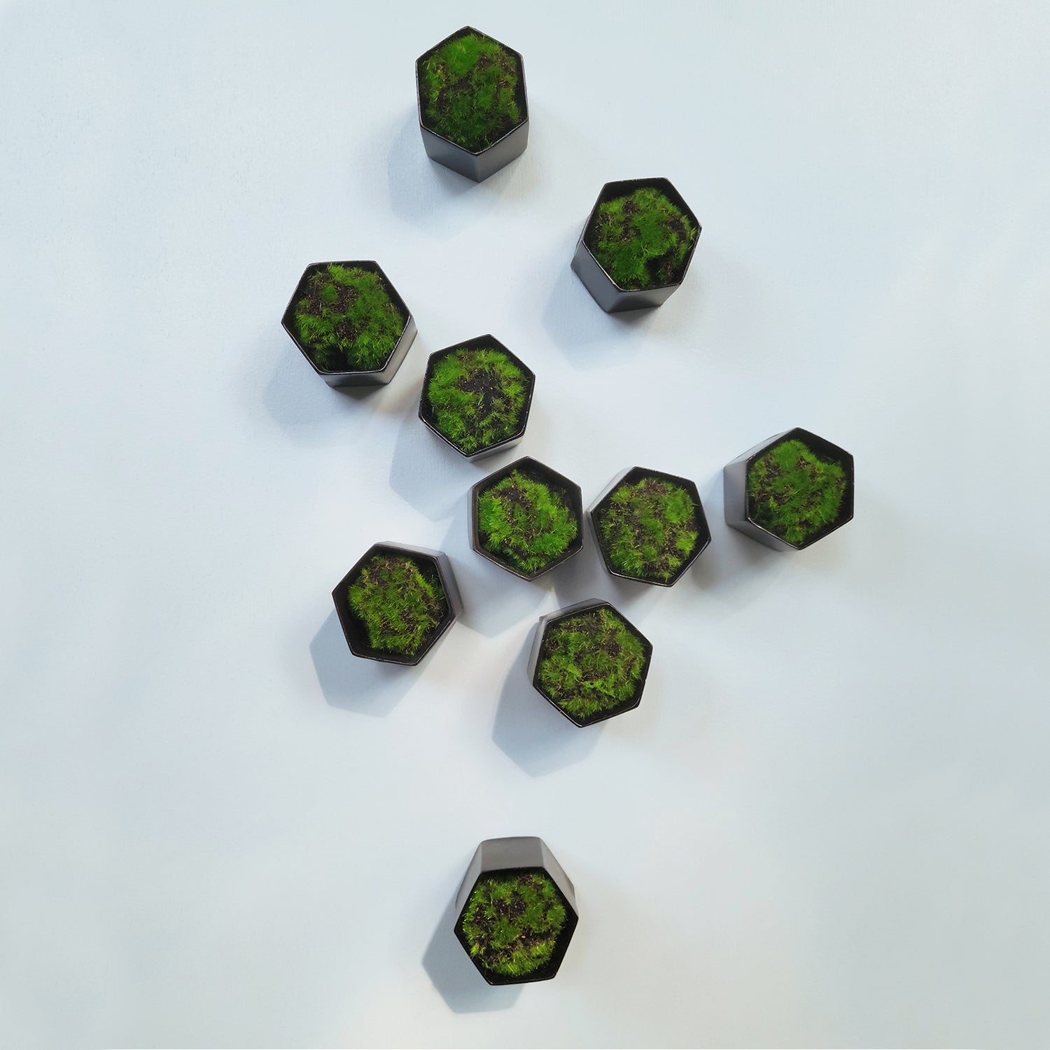 Green Wall Satellite, Wall Play™ Beehive Black w/ Moss