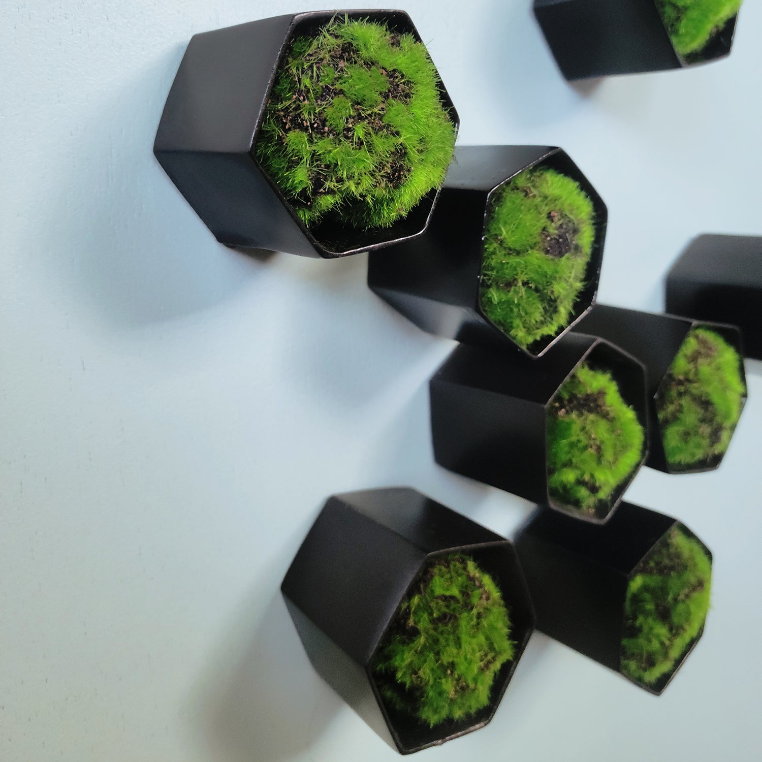 Green Wall Satellite, Wall Play™ Beehive Black w/ Moss