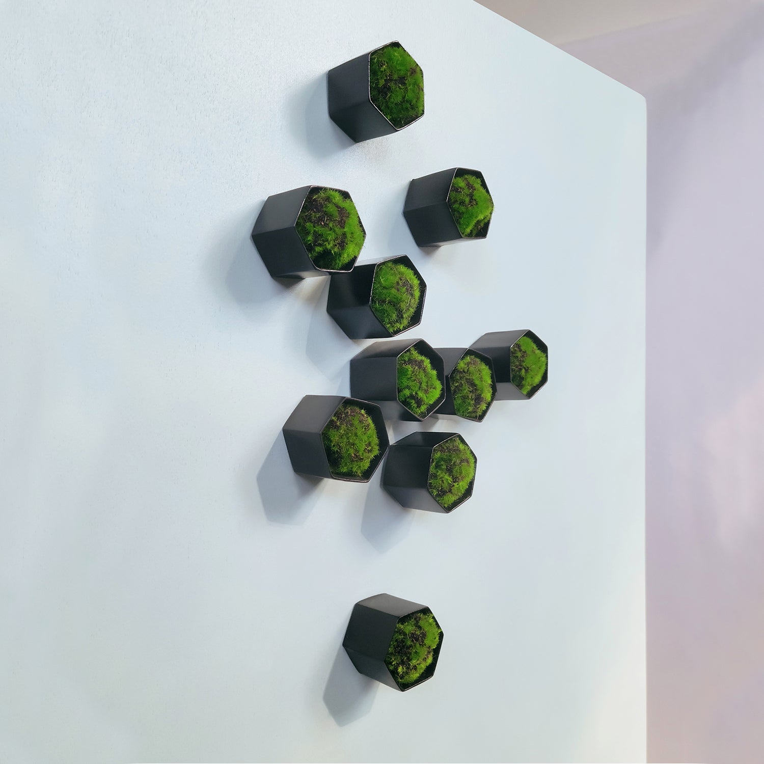 Green Wall Satellite, Wall Play™ Beehive Black w/ Moss