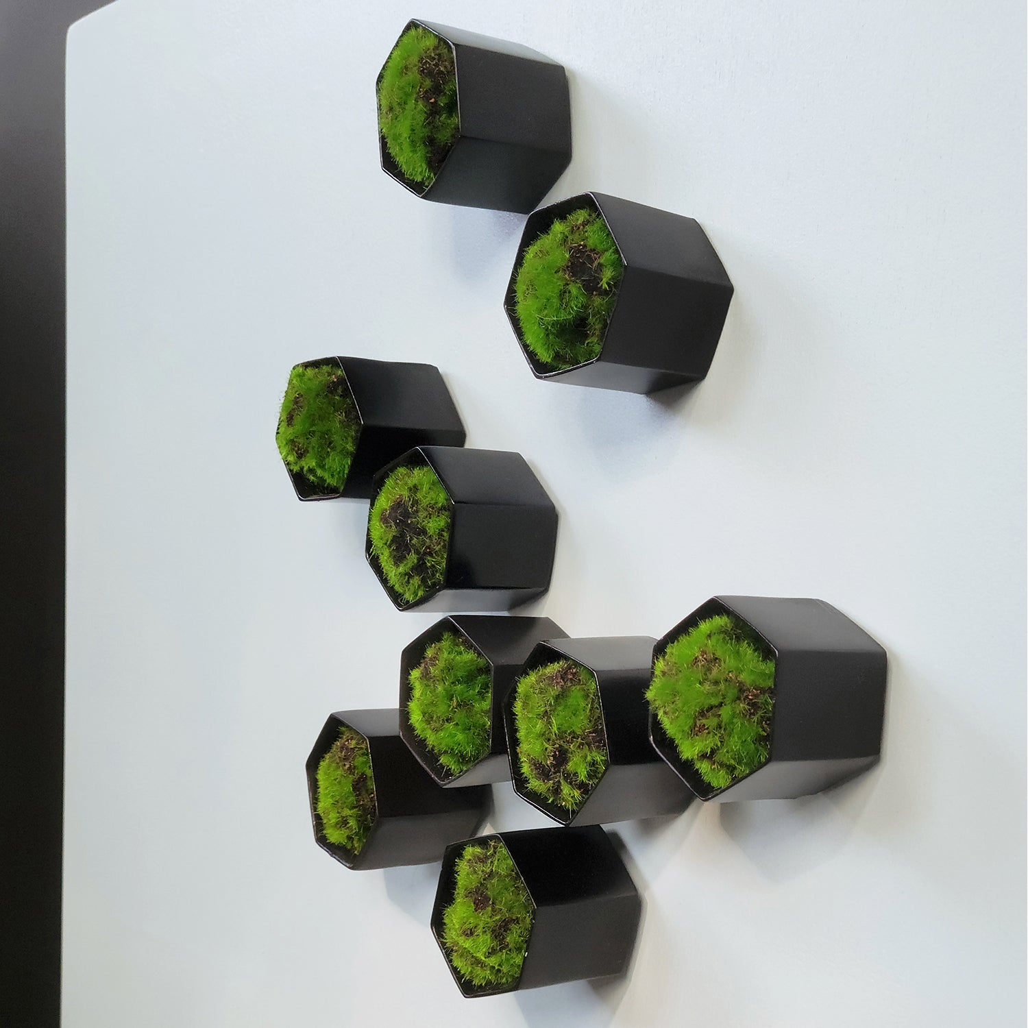 Green Wall Satellite, Wall Play™ Beehive Black w/ Moss