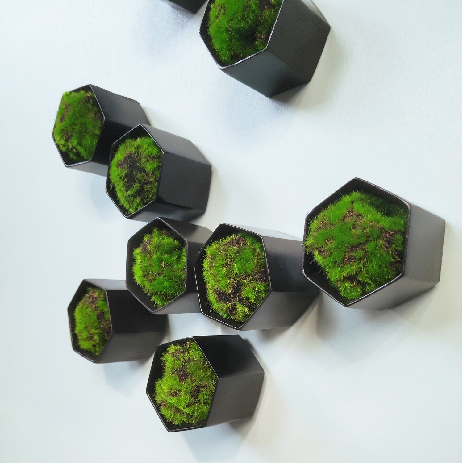 Green Wall Satellite, Wall Play™ Beehive Black w/ Moss