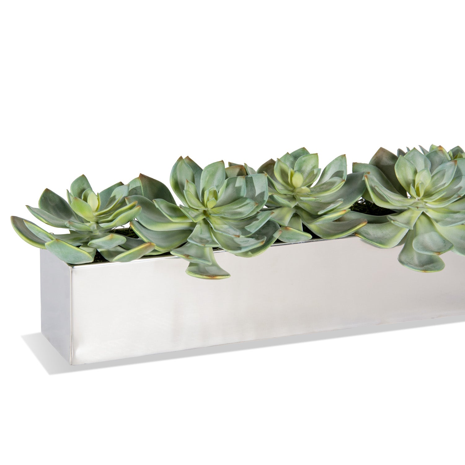 Grapto in Rectangle Stainless Table Planter