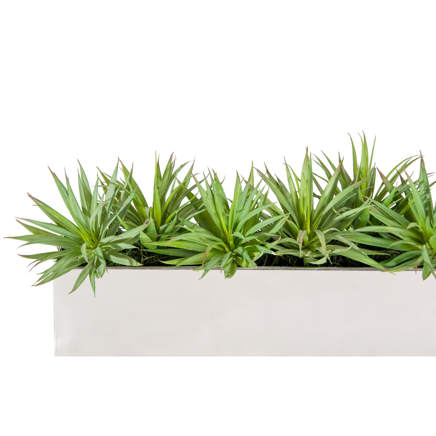 Yucca Mini in Rectangle Stainless Table Planter