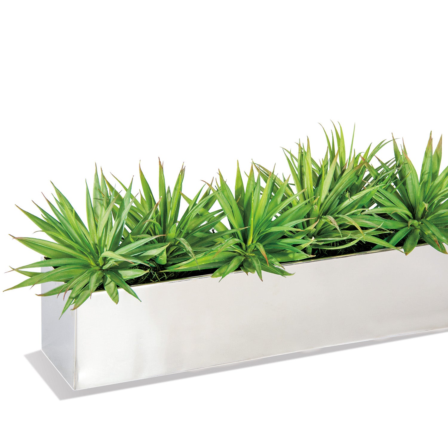 Yucca Mini in Rectangle Stainless Table Planter
