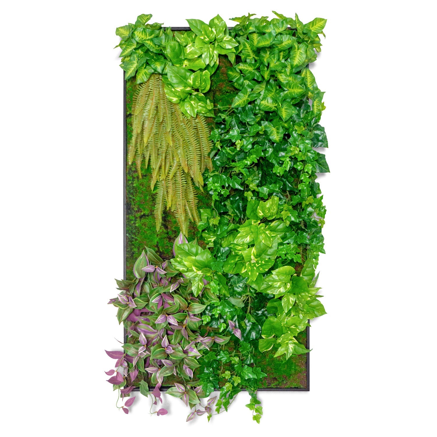 Green Wall, Trailing Mix #1