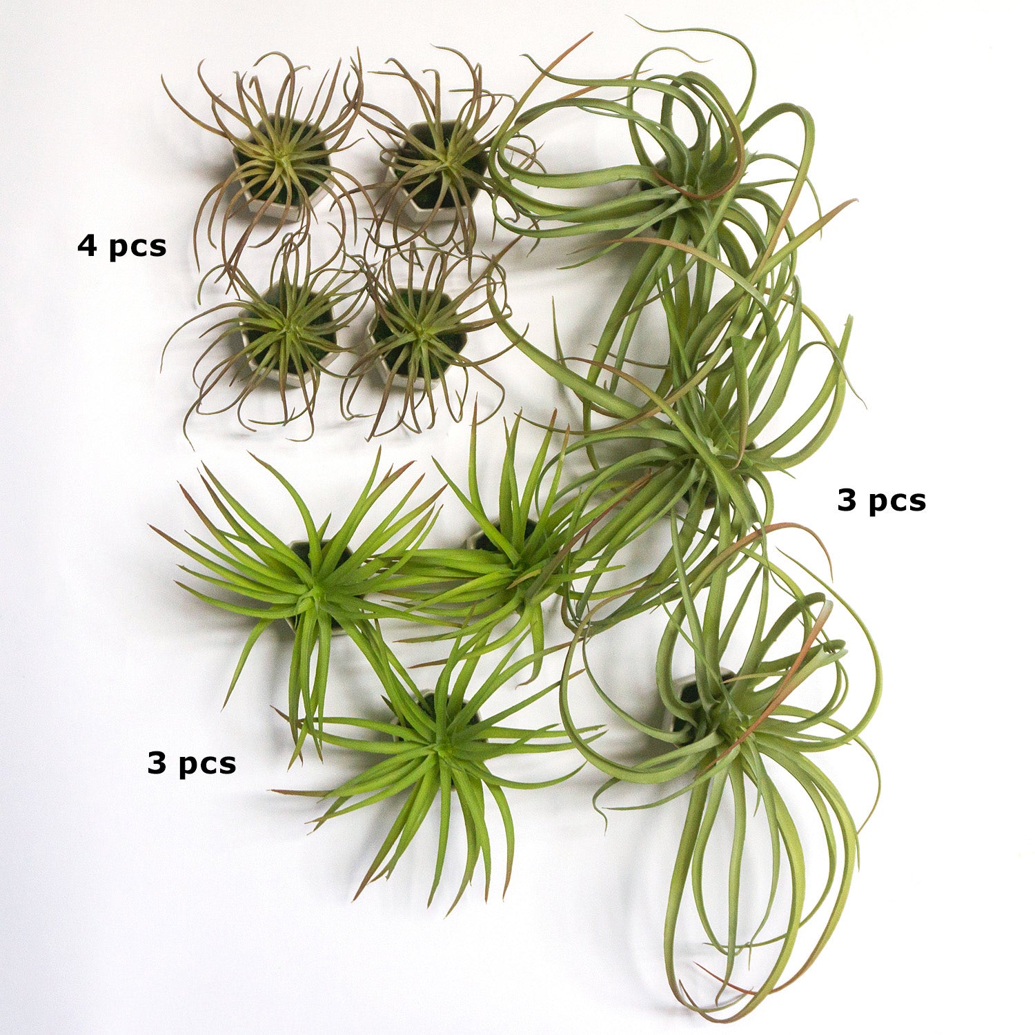 Green Wall Satellite, Wall Play™ Beehive White w/ Air Plants, Set of 10