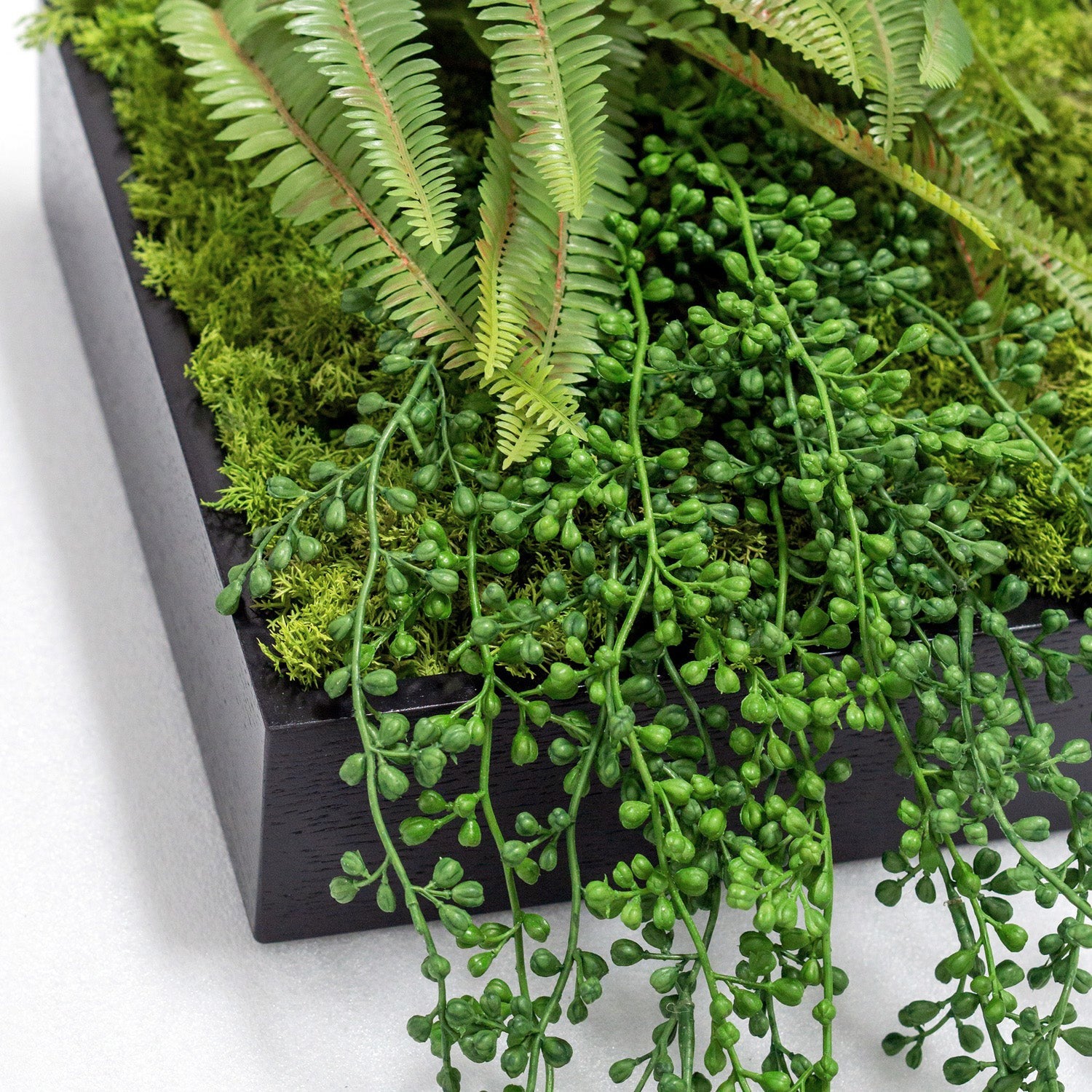 Green Wall, Mini Fern & Sedum Pearls 1