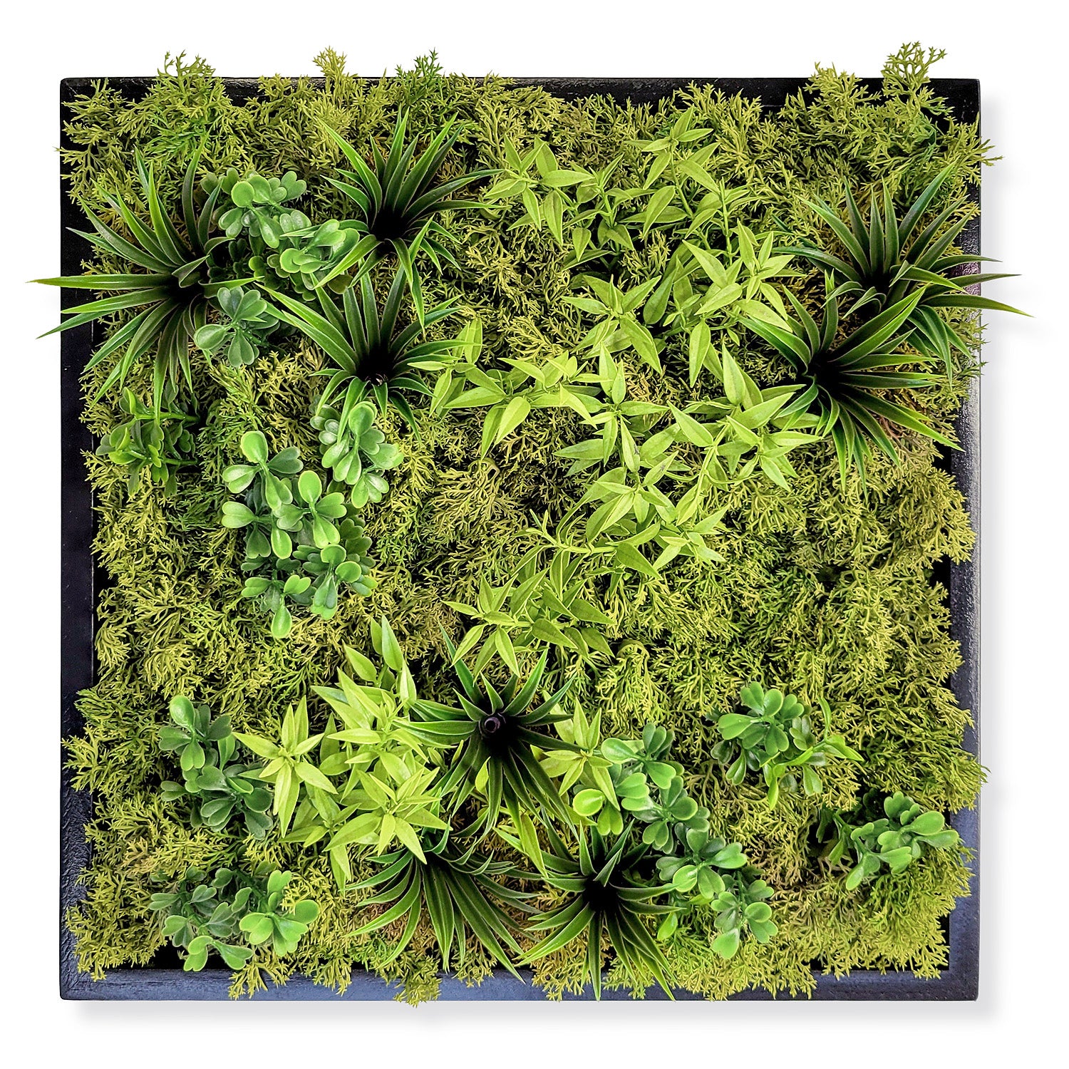 Green Wall, Mini Flat Texture Mix 3