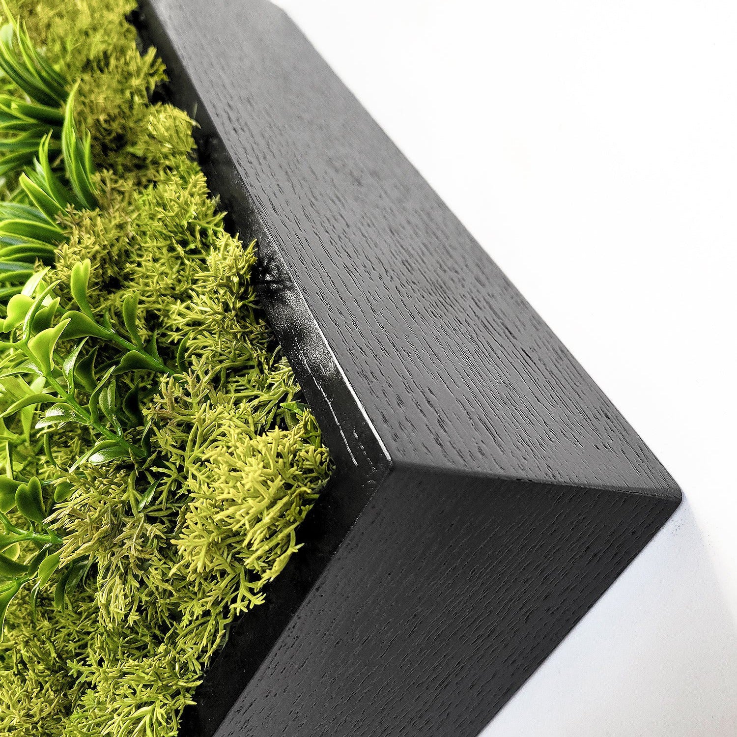 Green Wall, Mini Flat Texture Mix 3