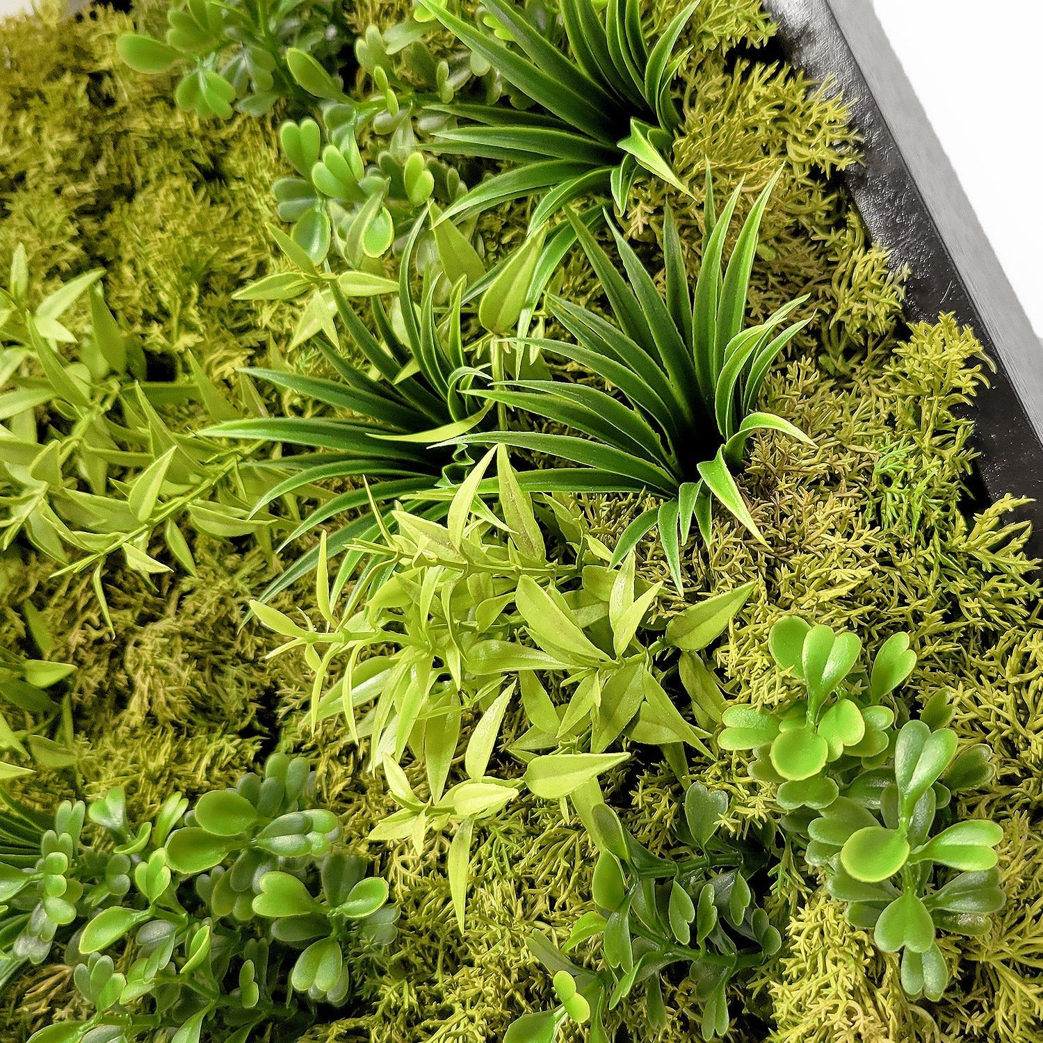 Green Wall, Mini Flat Texture Mix 3
