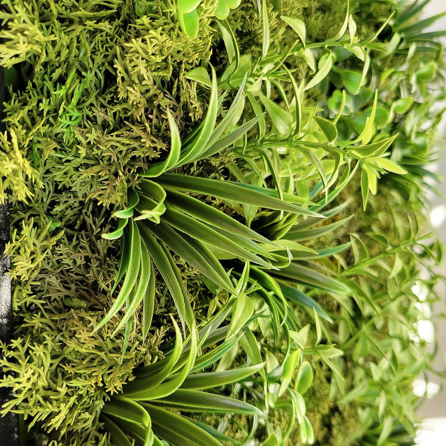 Green Wall, Mini Flat Texture Mix 3