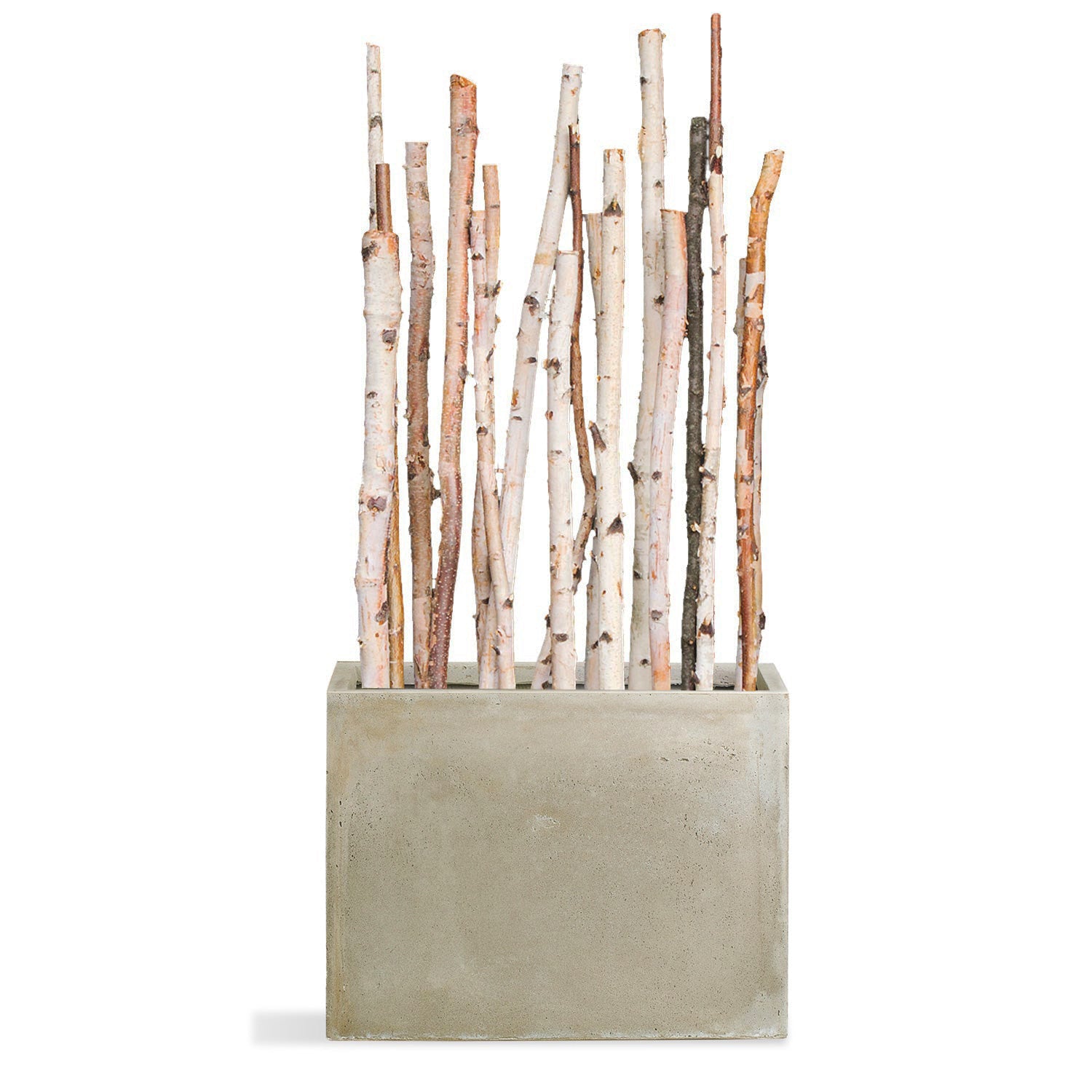 Birch Poles in Rectangle Urbano, LG