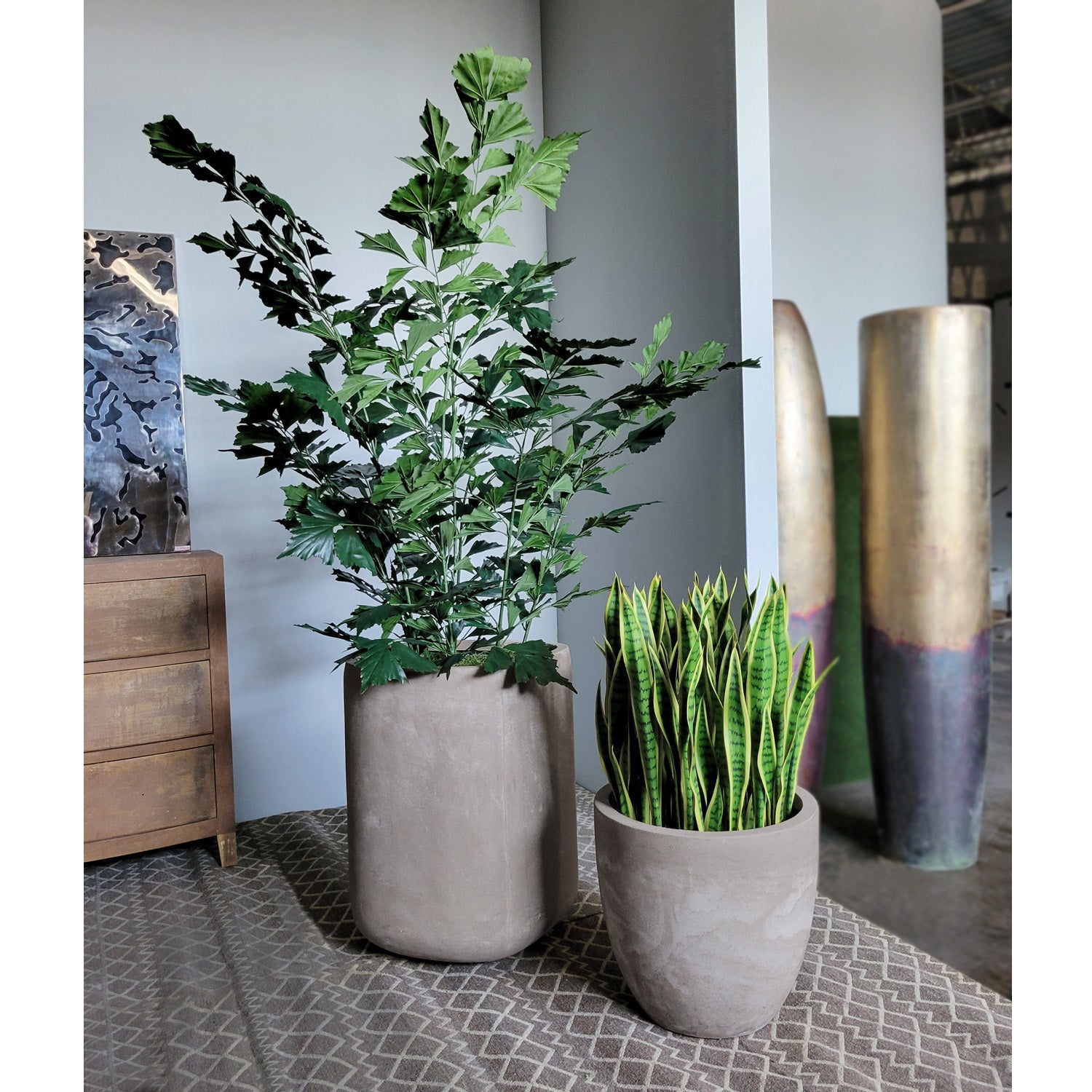 Fishtail Palm & Sansevieria Lime in Urbano Planters Set/ 2