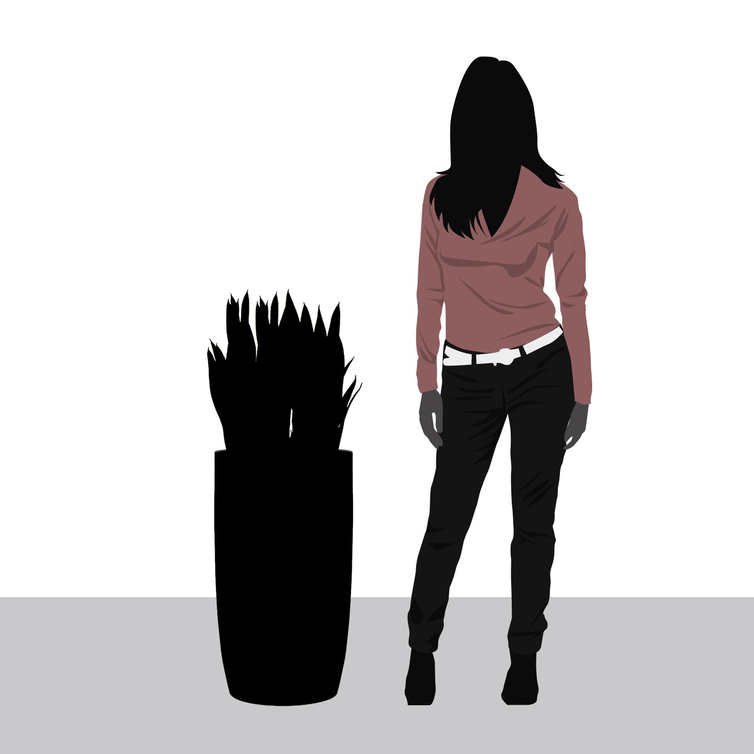 Sansevieria in Barrel Planter SM, Black Satin