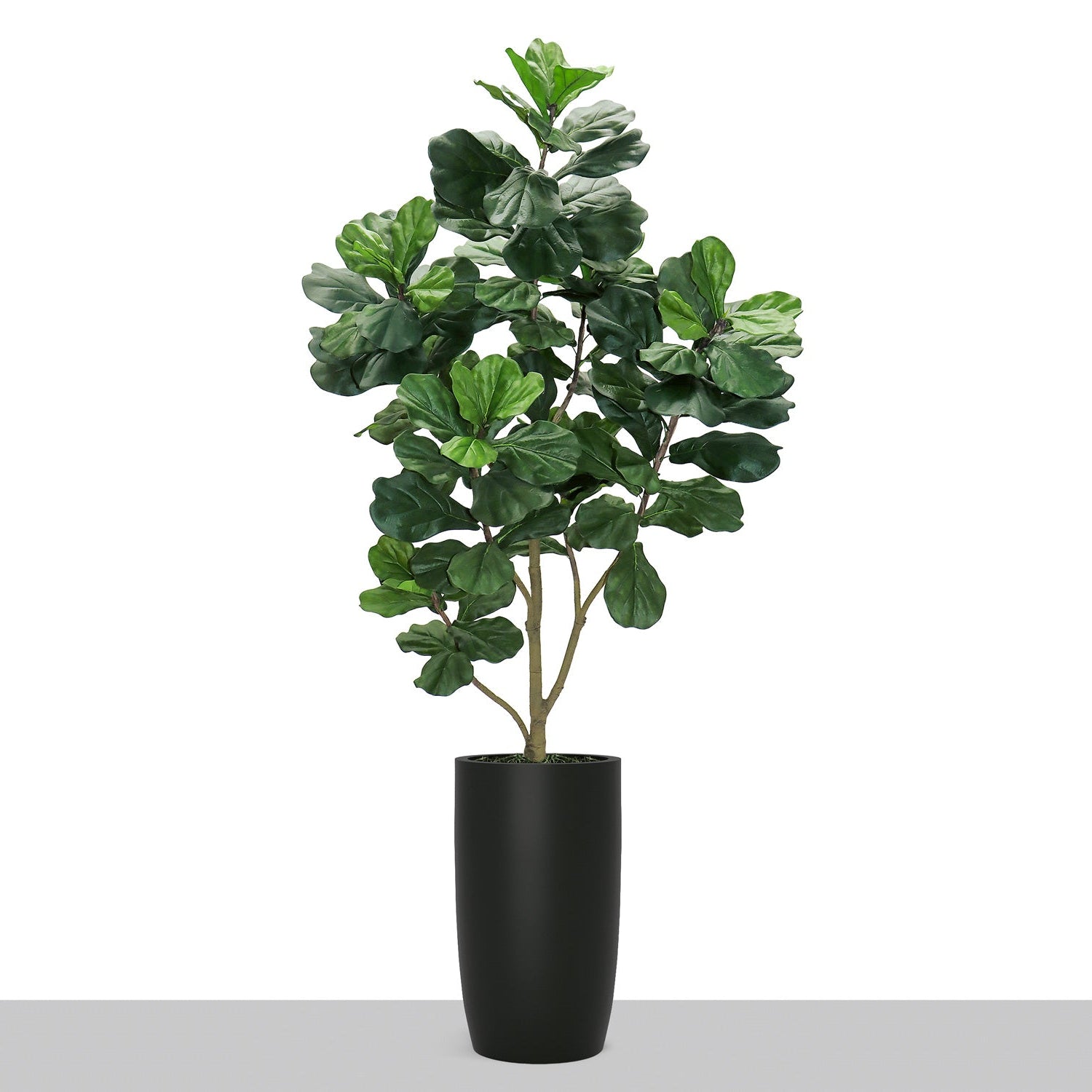 Fiddle Leaf Tree in Barrel Planter SM, Black Satin