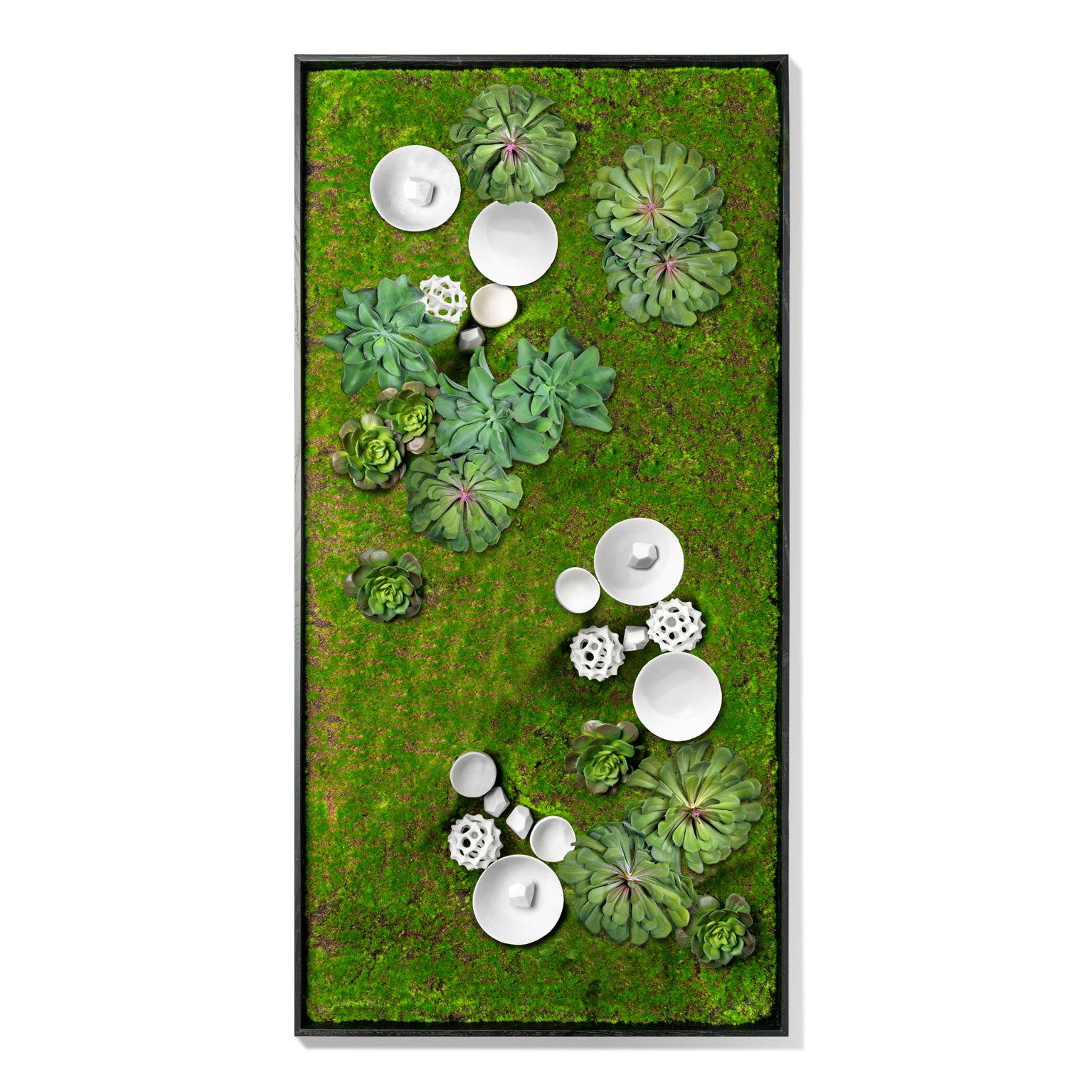 Green Wall, Succulents w/ Wall Play™ 4