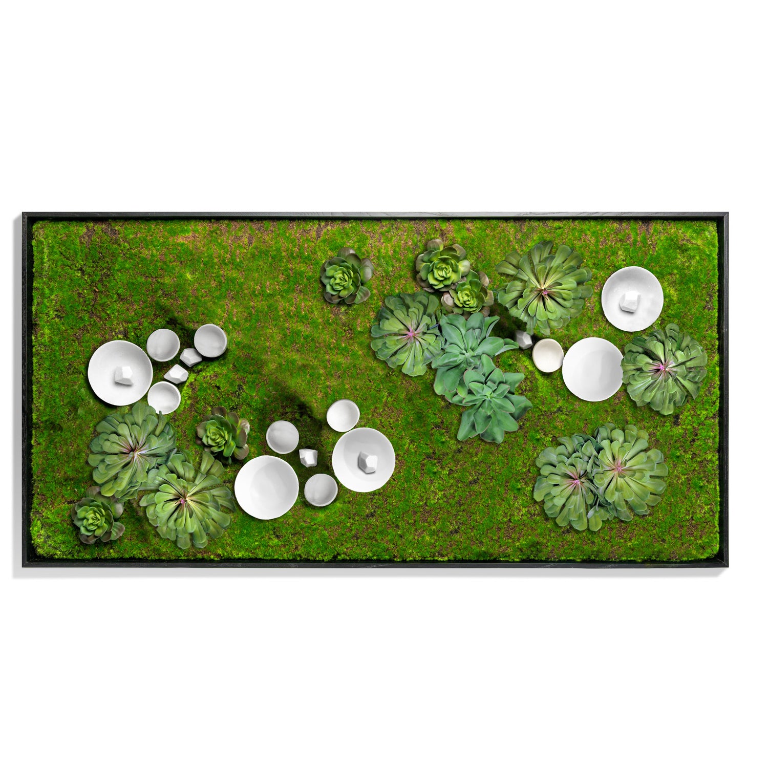 Green Wall, Succulents w/ Wall Play™ 5