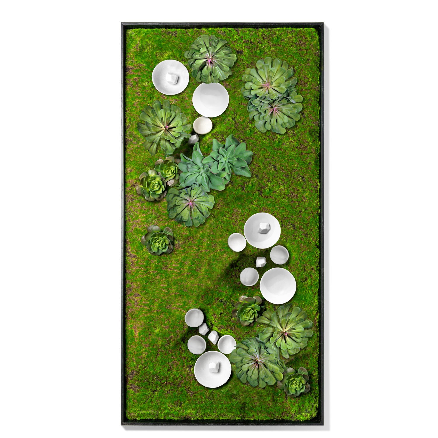 Green Wall, Succulents w/ Wall Play™ 5