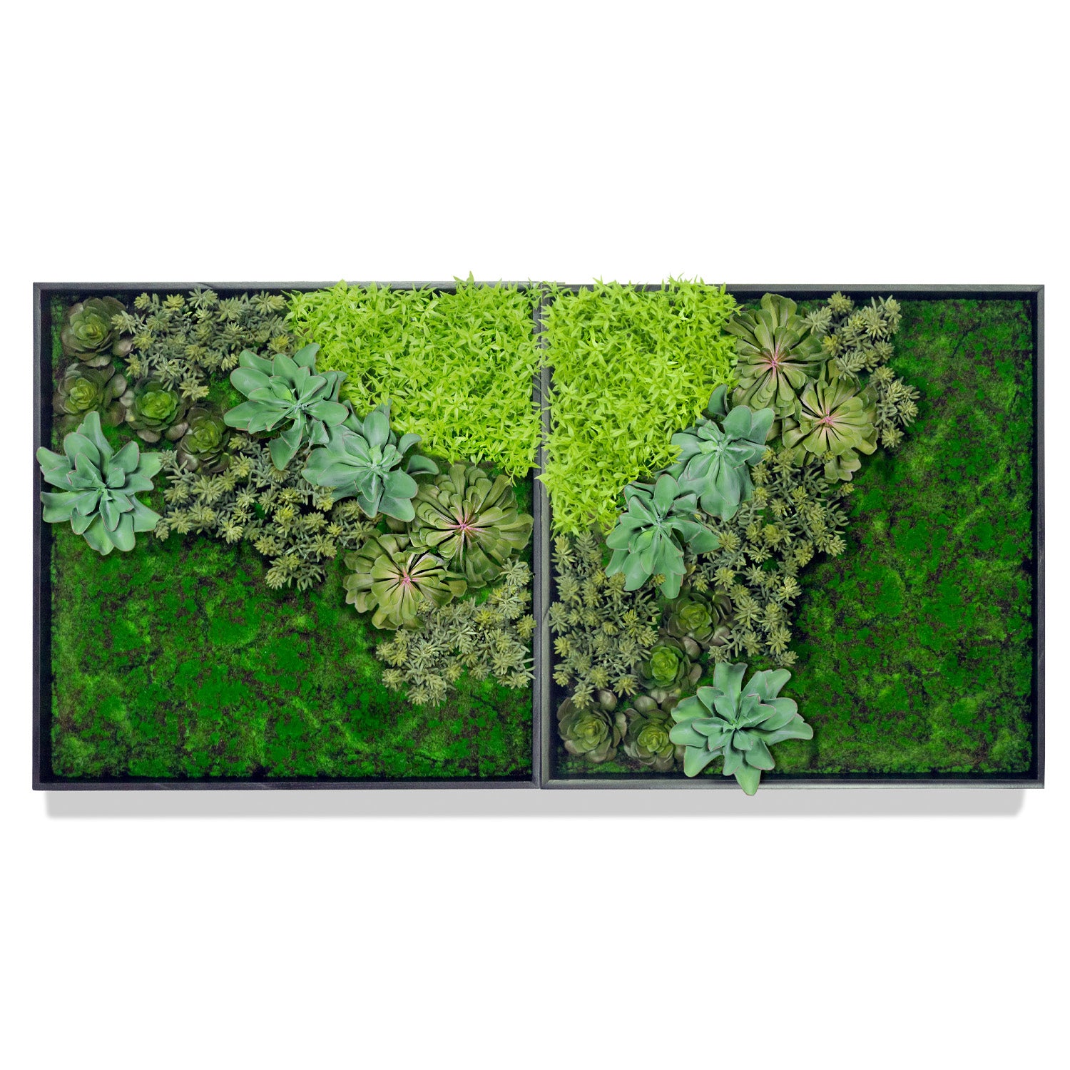 Green Wall, 'Wave Succulent 2'