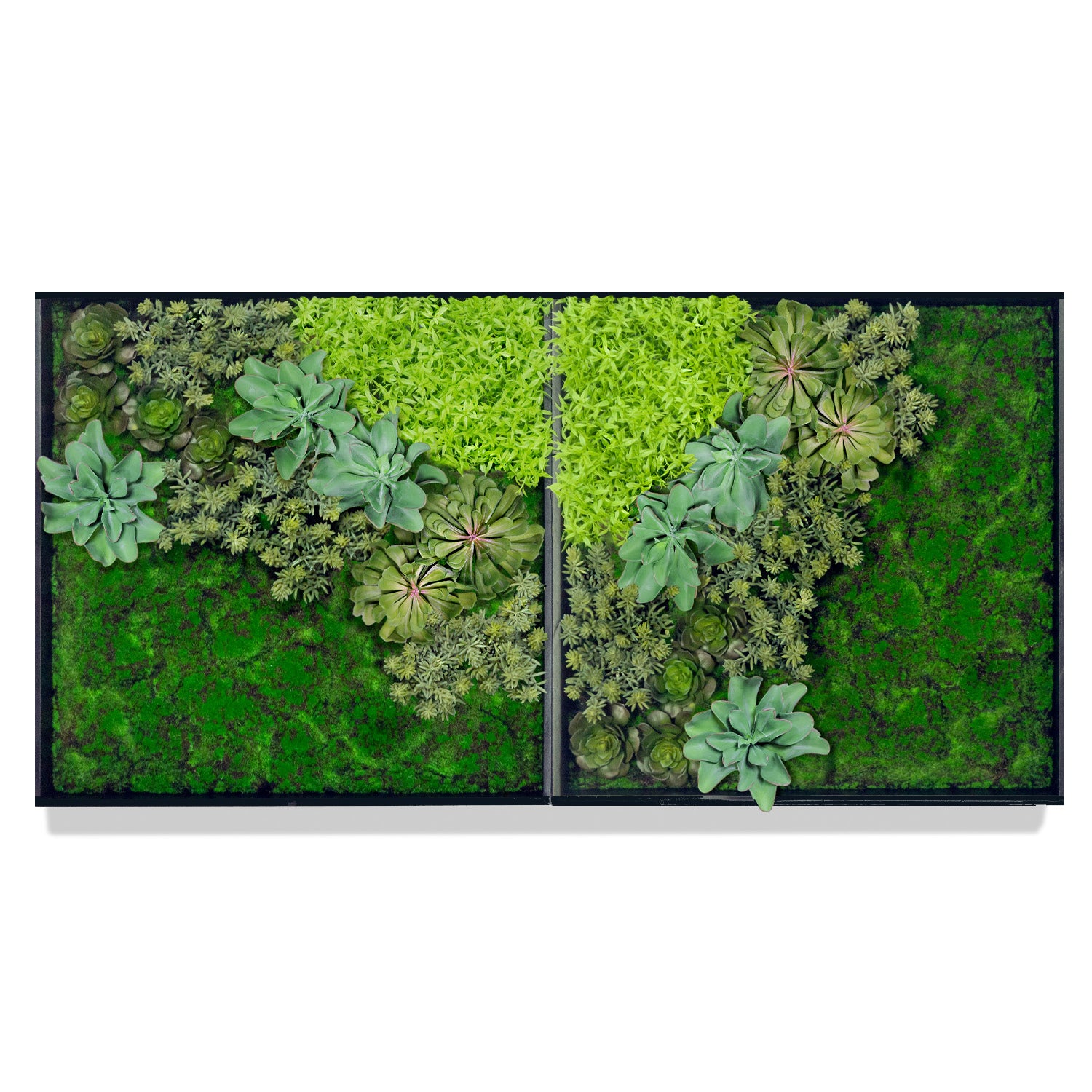 Front view of two textural artificial green walls mounted together horizontally, no glass, featuring a variety of succulents, grass, and flat green textural moss in a square black hardwood frame for indoor wall decor against a white background.
