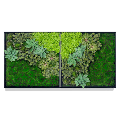 Front view of two textural artificial green walls mounted together horizontally, no glass, featuring a variety of succulents, grass, and flat green textural moss in a square black hardwood frame for indoor wall decor against a white background.