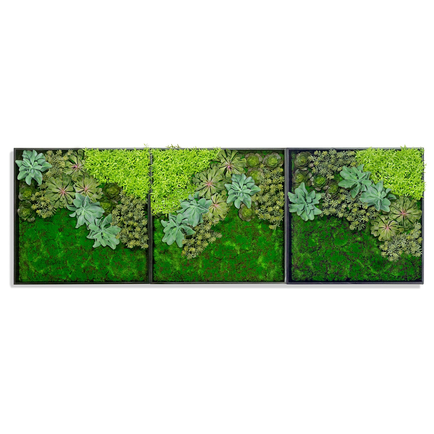 Green Wall, 'Wave Succulent 3'