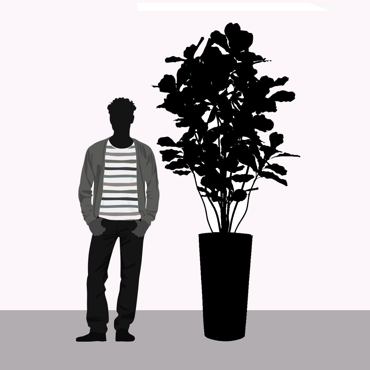 Fiddle Leaf Tree in Harmony Planter MD