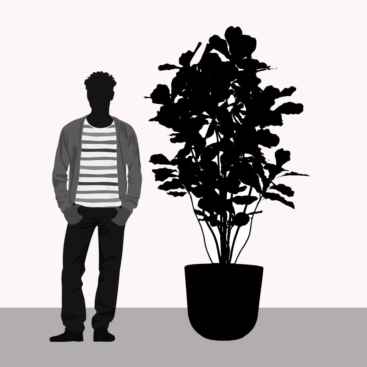 Fiddle Leaf Tree in Rotunda LG