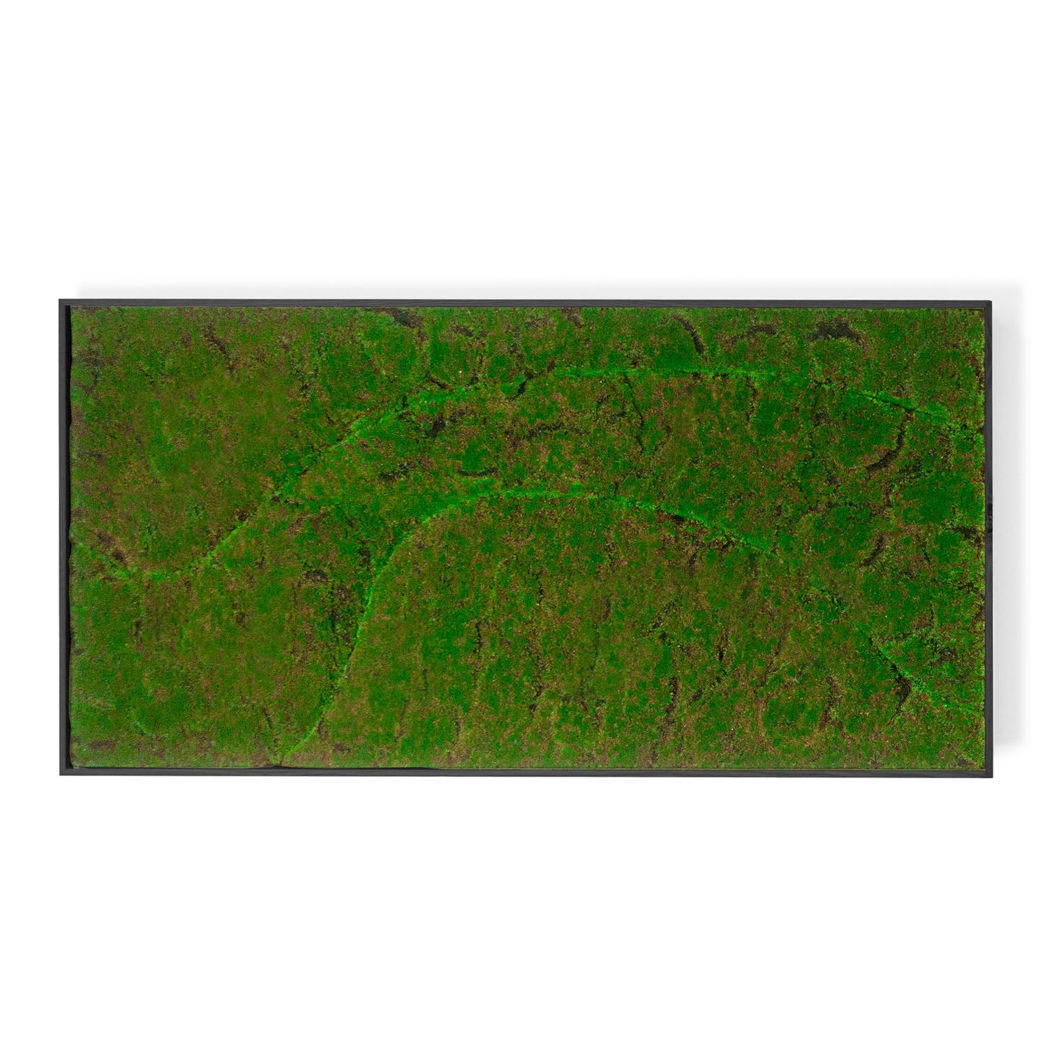 Rectangular moss green wall panel on a white background