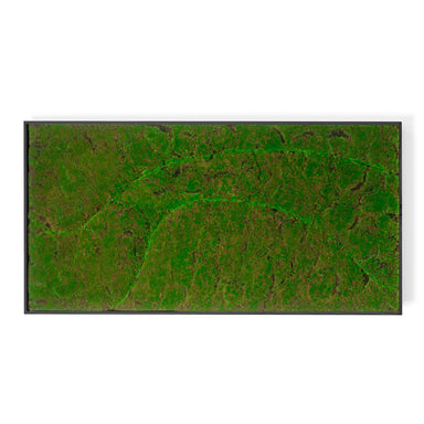 Rectangular moss green wall panel on a white background