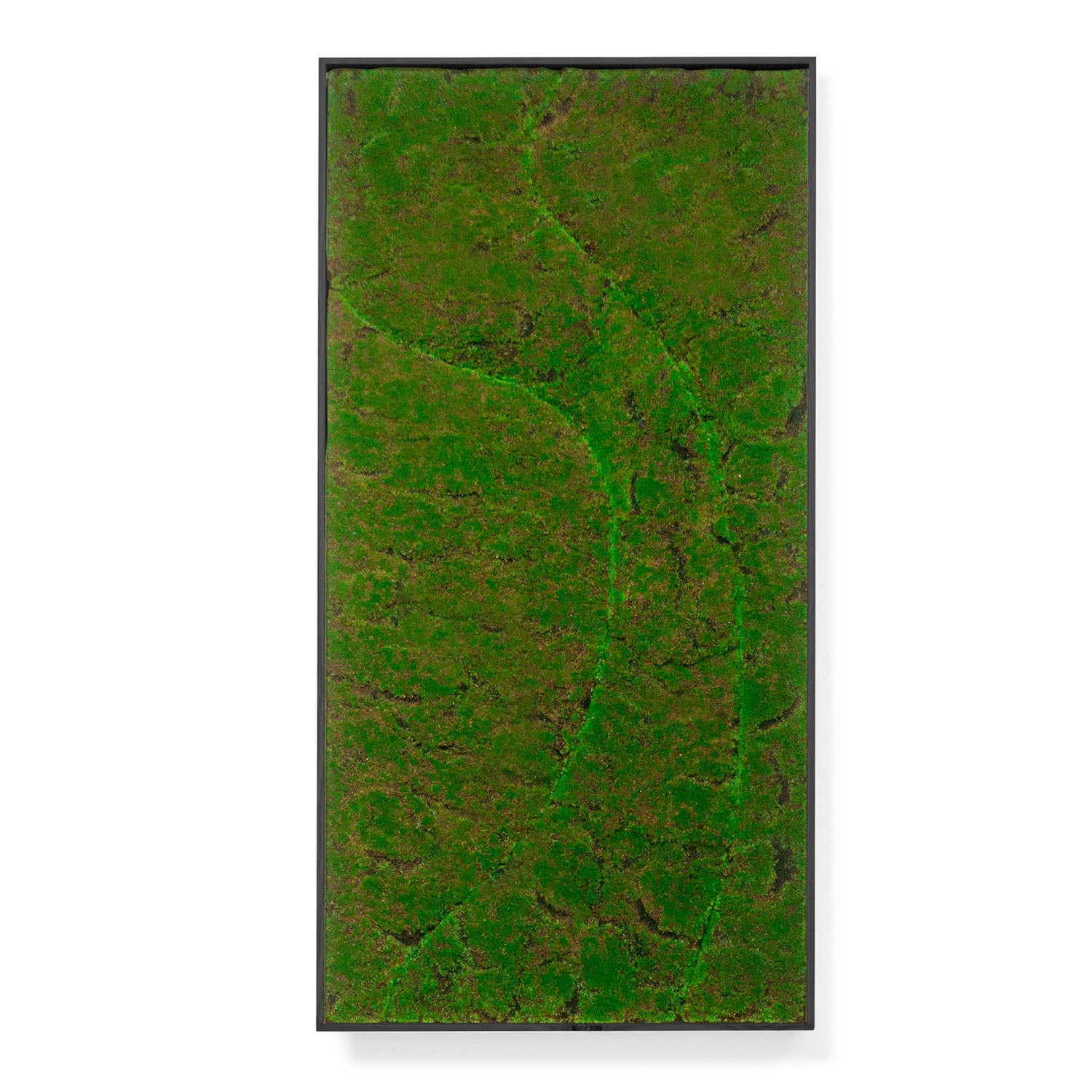 Rectangular moss green wall panel on a white background