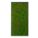 Rectangular moss green wall panel on a white background