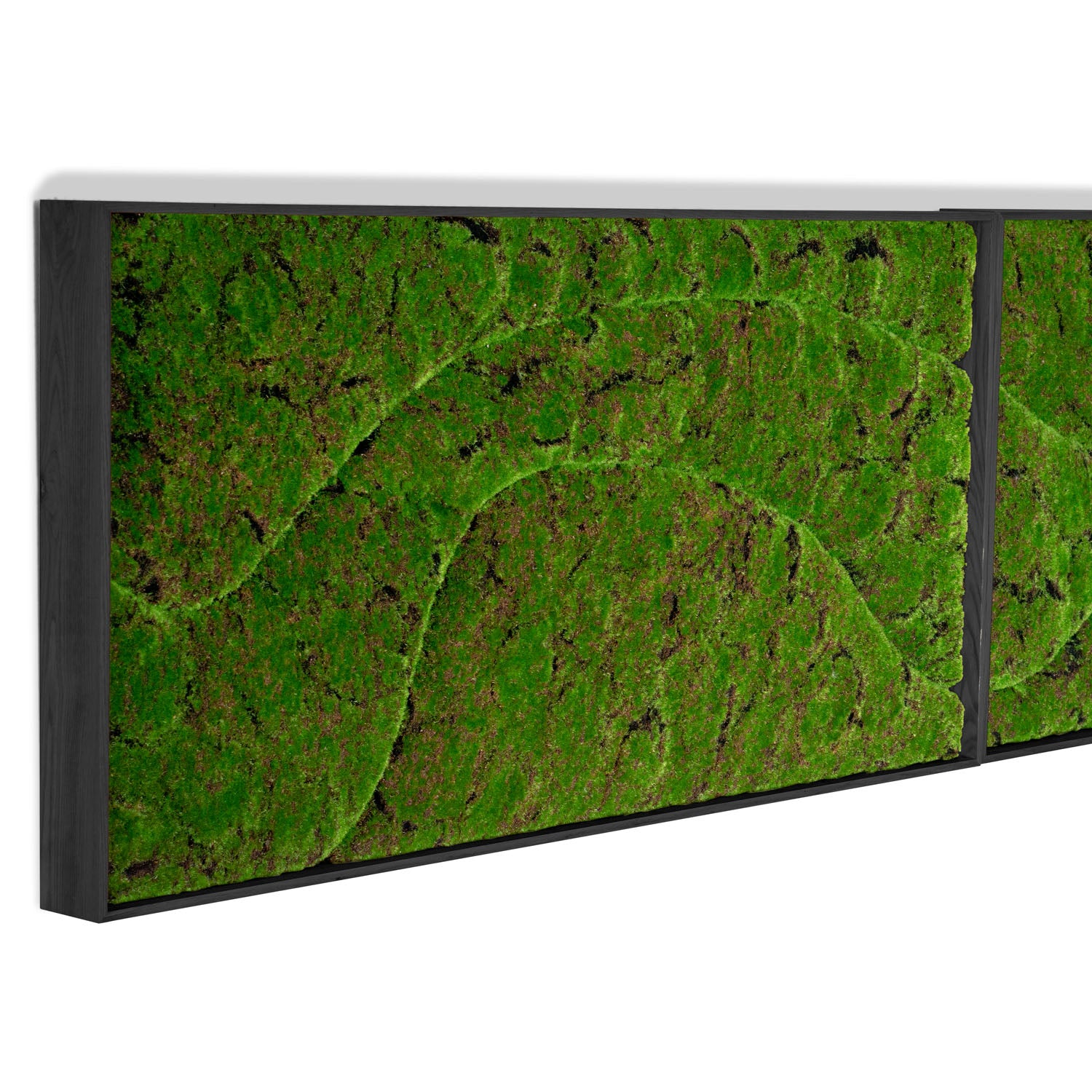 Close up of a rectangular moss green wall panel on a white background