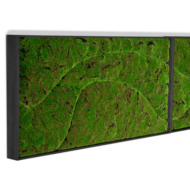 Close up of a rectangular moss green wall panel on a white background