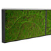 Close up of a rectangular moss green wall panel on a white background