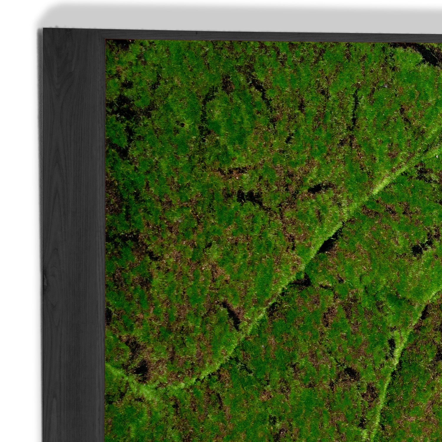 Close up of a rectangular moss green wall panel on a white background