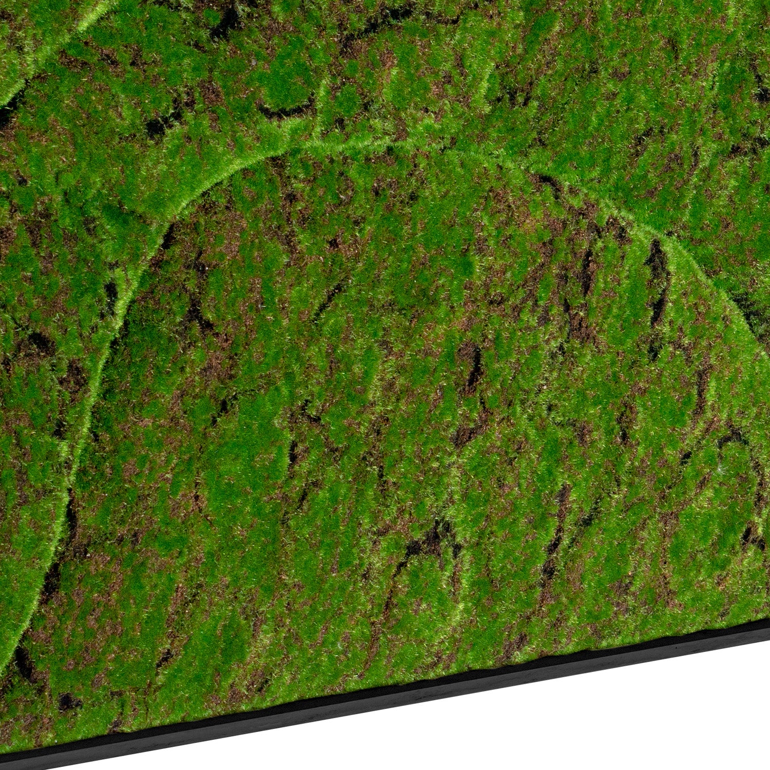 Close up of a rectangular moss green wall panel on a white background