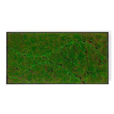 Rectangular moss green wall panel on a white background