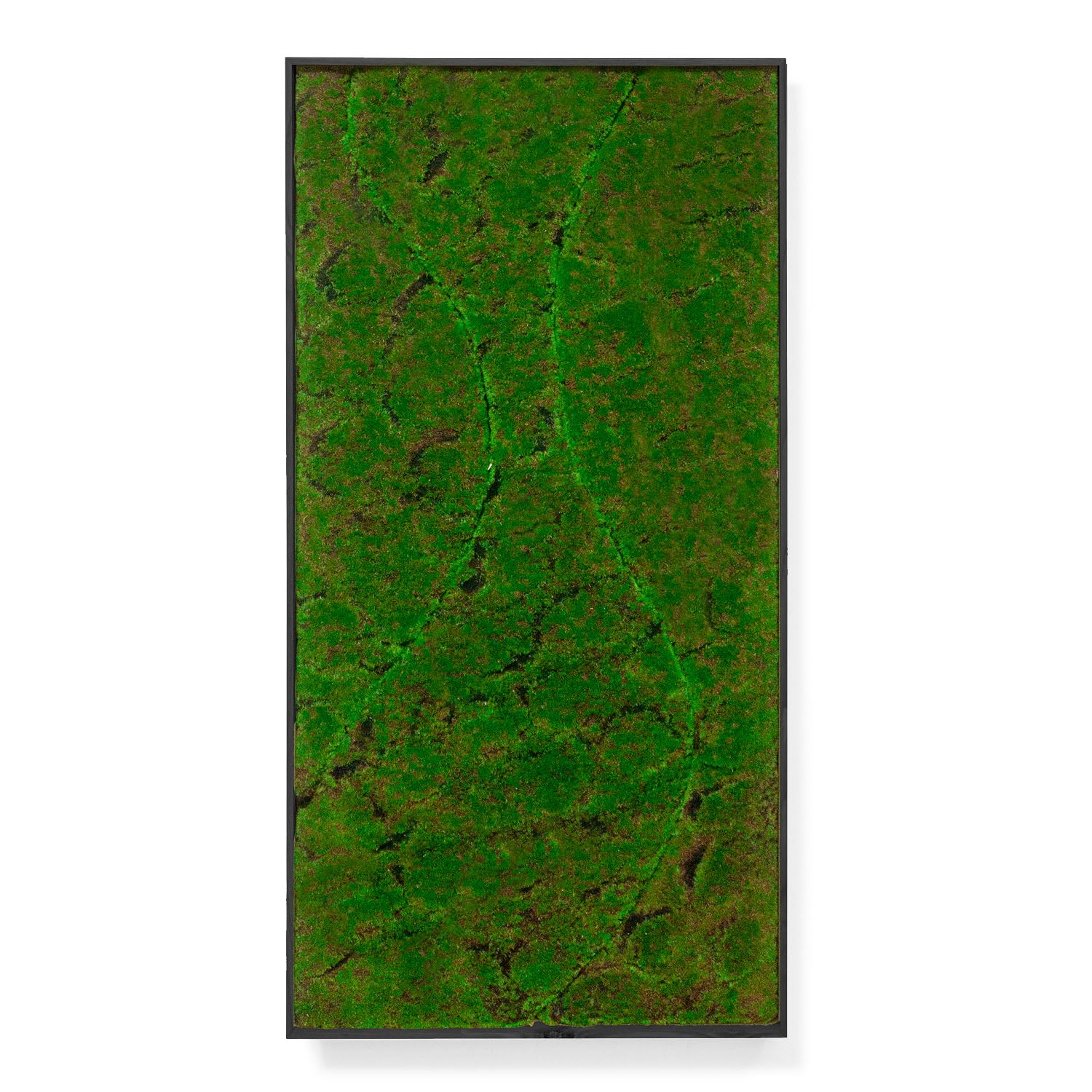 Rectangular moss green wall panel on a white background