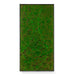 Rectangular moss green wall panel on a white background
