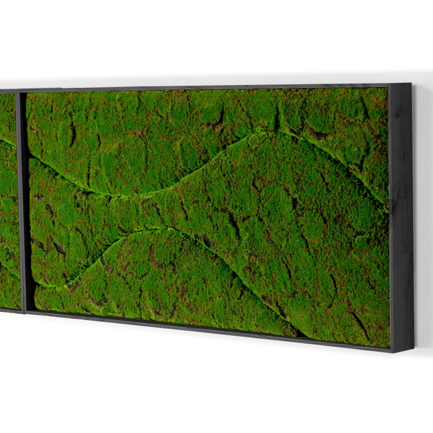 Close up of a rectangular moss green wall panel on a white background