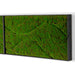 Close up of a rectangular moss green wall panel on a white background