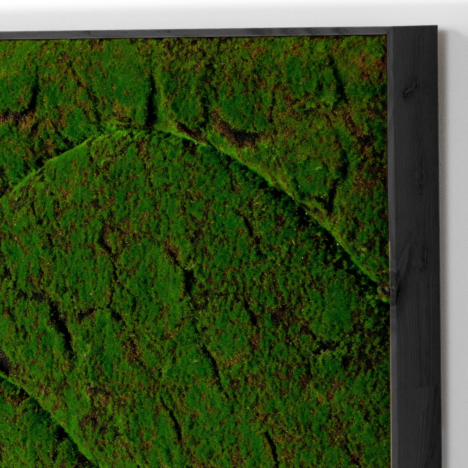 Close up of a rectangular moss green wall panel on a white background