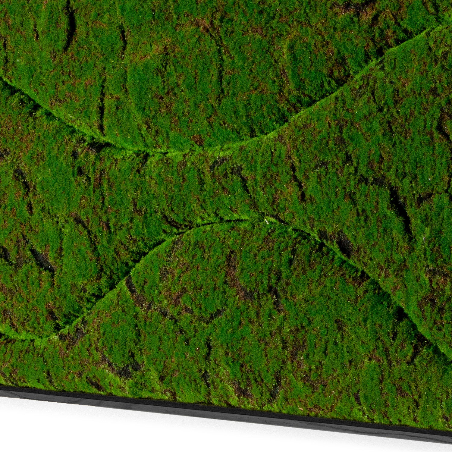 Close up of a rectangular moss green wall panel on a white background