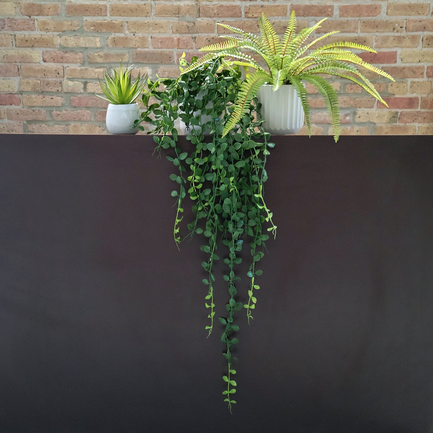 Shelf: Plant, Button Mix, Set/ 3